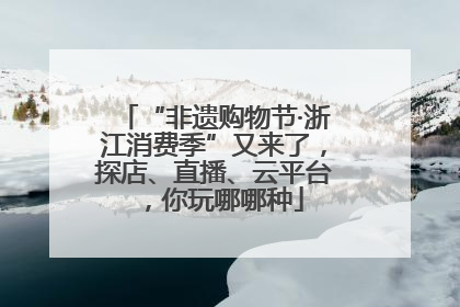 “非遗购物节·浙江消费季”又来了，探店、直播、云平台，你玩哪哪种