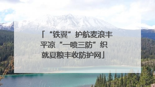 “铁翼”护航麦浪丰 平凉“一喷三防”织就夏粮丰收防护网