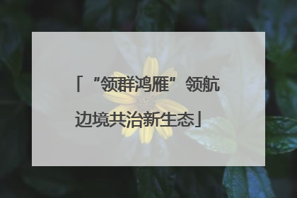 “领群鸿雁”领航边境共治新生态