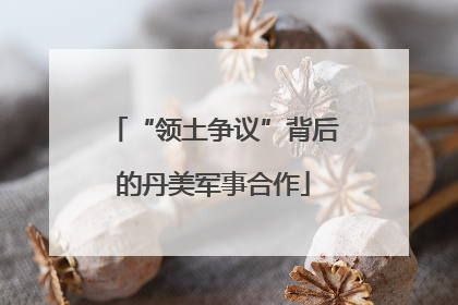 “领土争议”背后的丹美军事合作