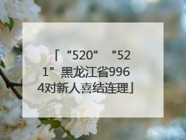 “520”“521”黑龙江省9964对新人喜结连理