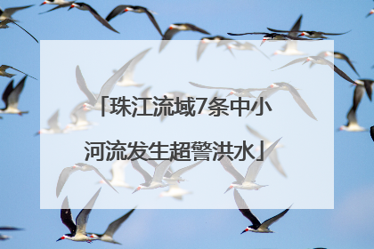 珠江流域7条中小河流发生超警洪水