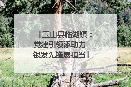 玉山县临湖镇：党建引领添助力 银发先锋展担当