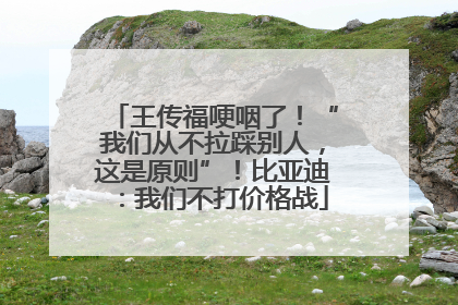 王传福哽咽了！“我们从不拉踩别人，这是原则”！比亚迪：我们不打价格战