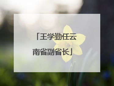 王学勤任云南省副省长