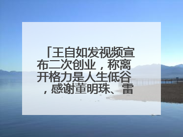 王自如发视频宣布二次创业，称离开格力是人生低谷，感谢董明珠、雷军，还回应了“工资条”：清楚自己要什么……