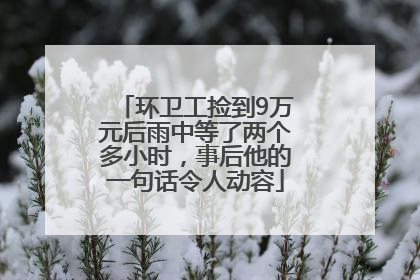 环卫工捡到9万元后雨中等了两个多小时，事后他的一句话令人动容