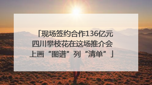 现场签约合作136亿元 四川攀枝花在这场推介会上画“图谱”列“清单”