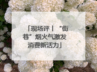 现场评丨“街巷”烟火气激发消费新活力