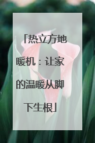 热立方地暖机：让家的温暖从脚下生根