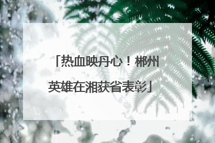 热血映丹心！郴州英雄在湘获省表彰