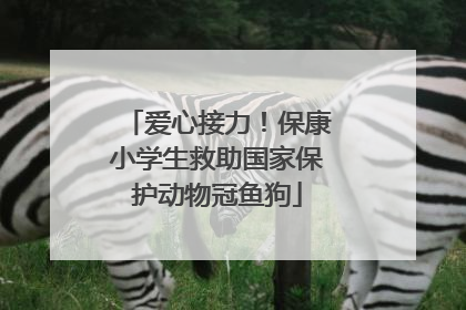 爱心接力！保康小学生救助国家保护动物冠鱼狗