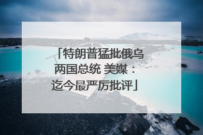 特朗普猛批俄乌两国总统 美媒：迄今最严厉批评