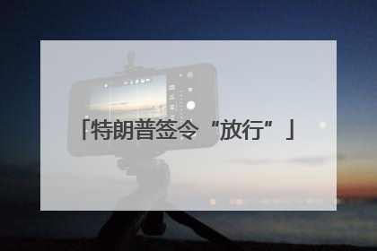 特朗普签令“放行”