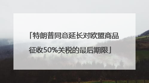 特朗普同意延长对欧盟商品征收50%关税的最后期限