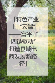 特色产业上“云端”——富平“四链驱动”打造县域电商发展新路径
