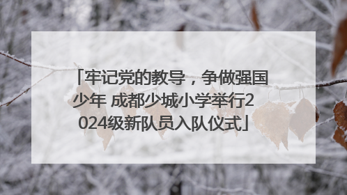 牢记党的教导，争做强国少年 成都少城小学举行2024级新队员入队仪式