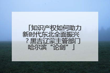 知识产权如何助力新时代东北全面振兴？黑吉辽蒙主管部门哈尔滨“论剑”