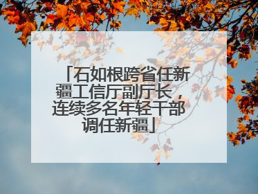 石如根跨省任新疆工信厅副厅长，连续多名年轻干部调任新疆