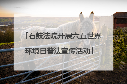 石鼓法院开展六五世界环境日普法宣传活动