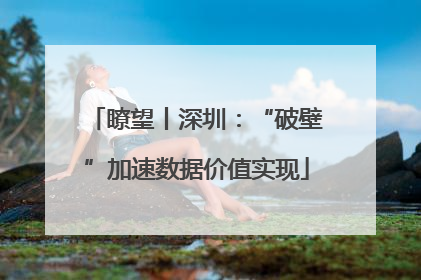 瞭望丨深圳：“破壁”加速数据价值实现