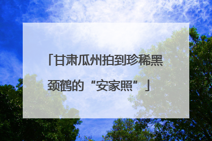甘肃瓜州拍到珍稀黑颈鹤的“安家照”