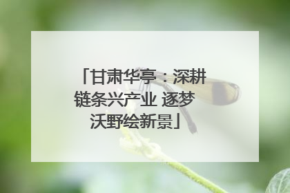 甘肃华亭：深耕链条兴产业 逐梦沃野绘新景