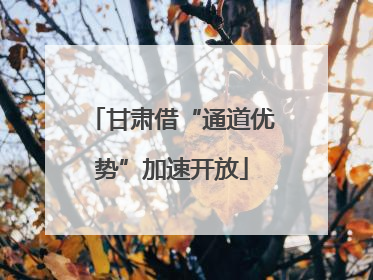 甘肃借“通道优势”加速开放