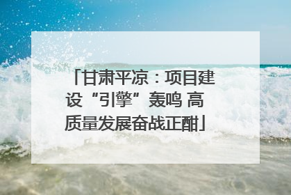 甘肃平凉：项目建设“引擎”轰鸣 高质量发展奋战正酣