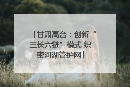甘肃高台：创新“三长六链”模式 织密河湖管护网