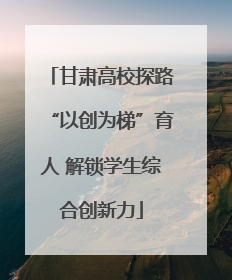 甘肃高校探路“以创为梯”育人 解锁学生综合创新力