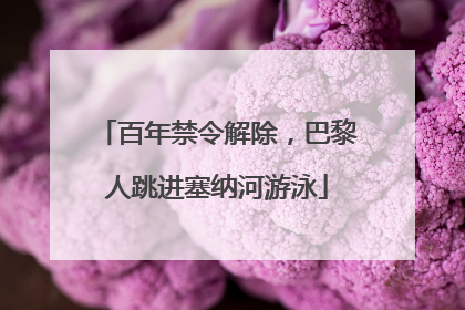 百年禁令解除，巴黎人跳进塞纳河游泳