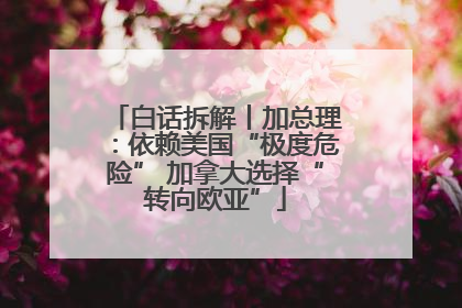 白话拆解丨加总理：依赖美国“极度危险” 加拿大选择“转向欧亚”
