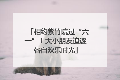 相约紫竹院过“六一”！大小朋友追逐各自欢乐时光