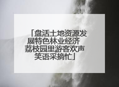 盘活土地资源发展特色林业经济 荔枝园里游客欢声笑语采摘忙
