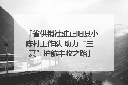 省供销社驻正阳县小陈村工作队 助力“三夏”护航丰收之路