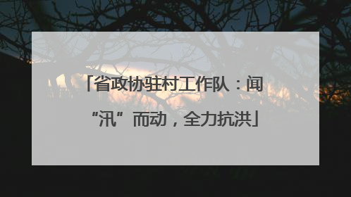 省政协驻村工作队：闻“汛”而动，全力抗洪