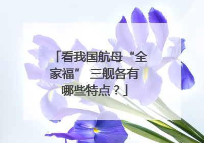 看我国航母“全家福” 三舰各有哪些特点？
