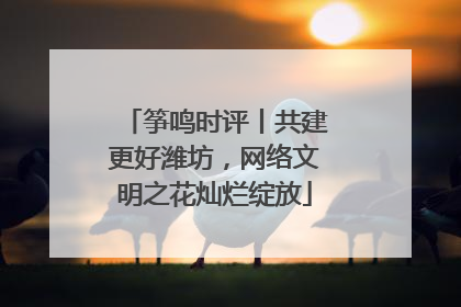 筝鸣时评丨共建更好潍坊，网络文明之花灿烂绽放