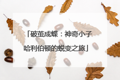 破茧成蝶：神奇小子哈利伯顿的蜕变之旅