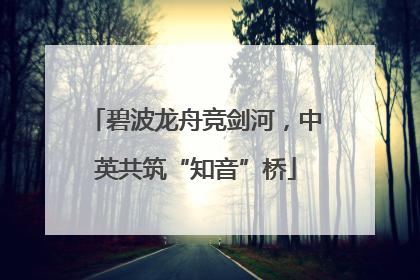 碧波龙舟竞剑河，中英共筑“知音”桥