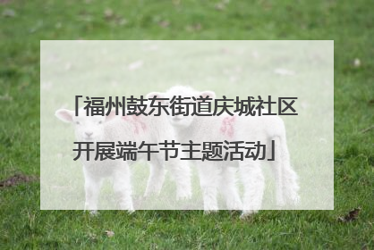 福州鼓东街道庆城社区开展端午节主题活动