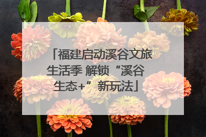 福建启动溪谷文旅生活季 解锁“溪谷生态+”新玩法