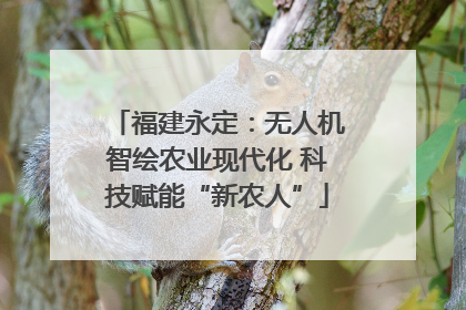 福建永定：无人机智绘农业现代化 科技赋能“新农人”
