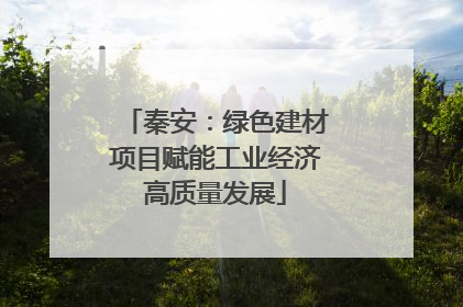 秦安：绿色建材项目赋能工业经济高质量发展