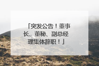 突发公告！董事长、董秘、副总经理集体辞职！