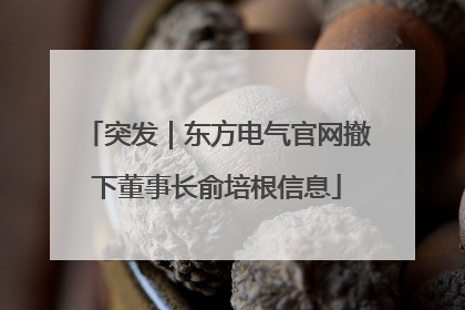 突发｜东方电气官网撤下董事长俞培根信息
