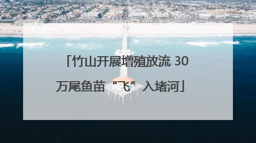 竹山开展增殖放流 30万尾鱼苗“飞”入堵河