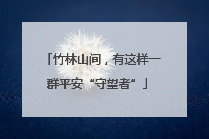 竹林山间，有这样一群平安“守望者”