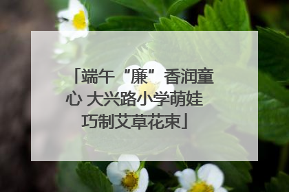 端午“廉”香润童心 大兴路小学萌娃巧制艾草花束